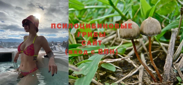 крисы Белоозёрский