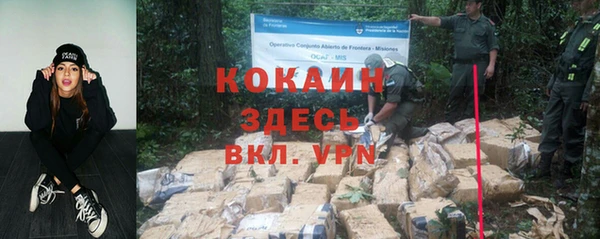 крисы Белоозёрский